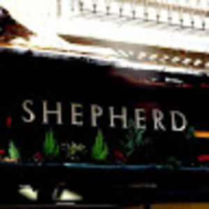 Meet your Posher, Molly